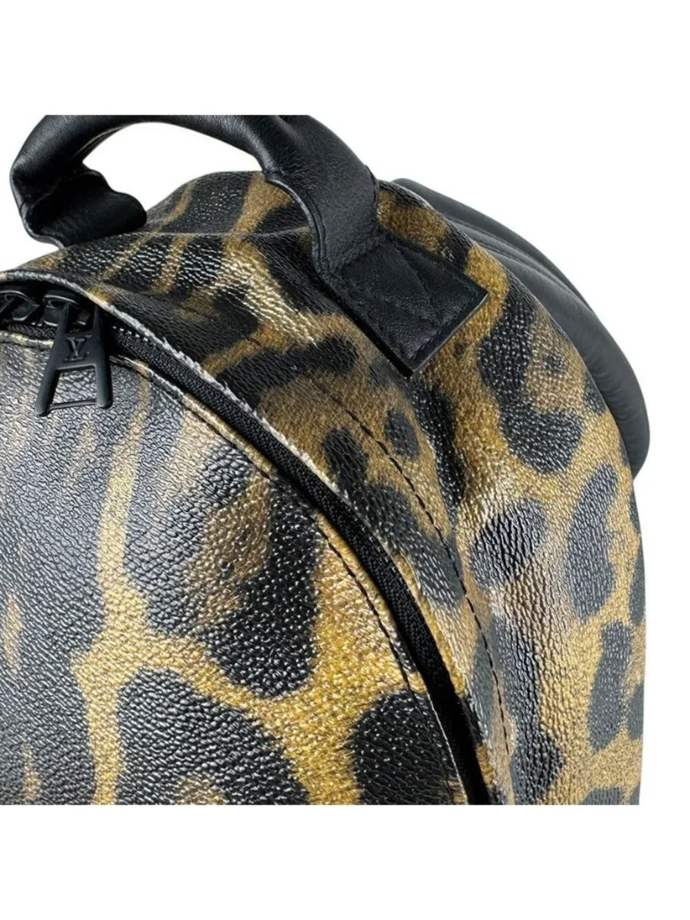 Louis Vuitton Backpack Palm Springs